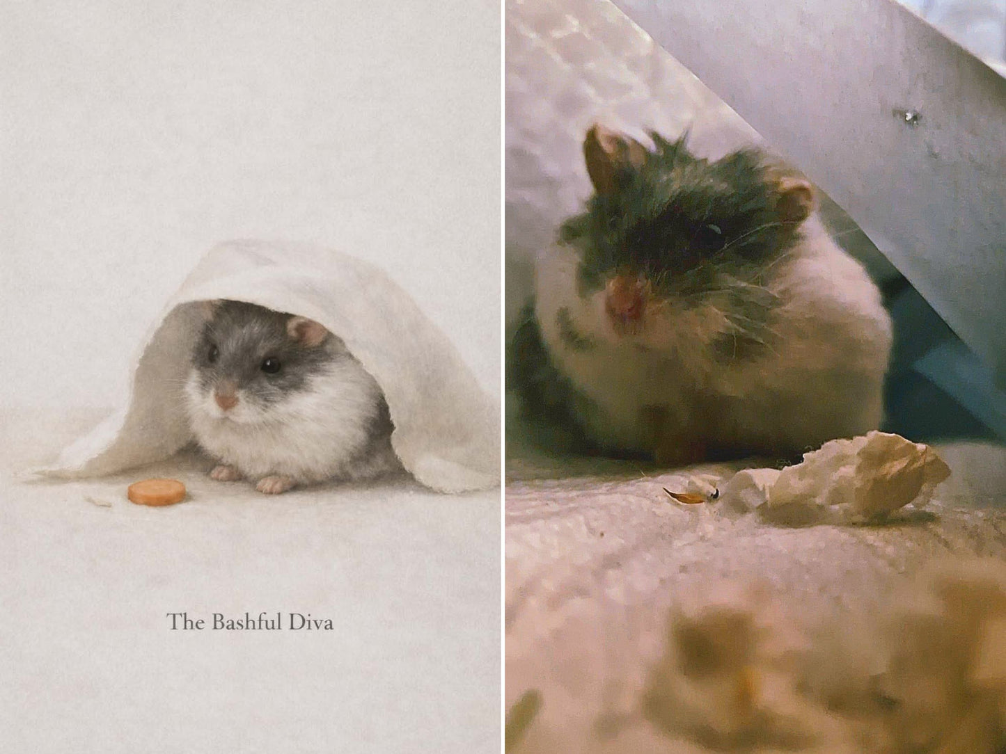 Digital Hamster Personality Portrait | Custom A4 Artwork
