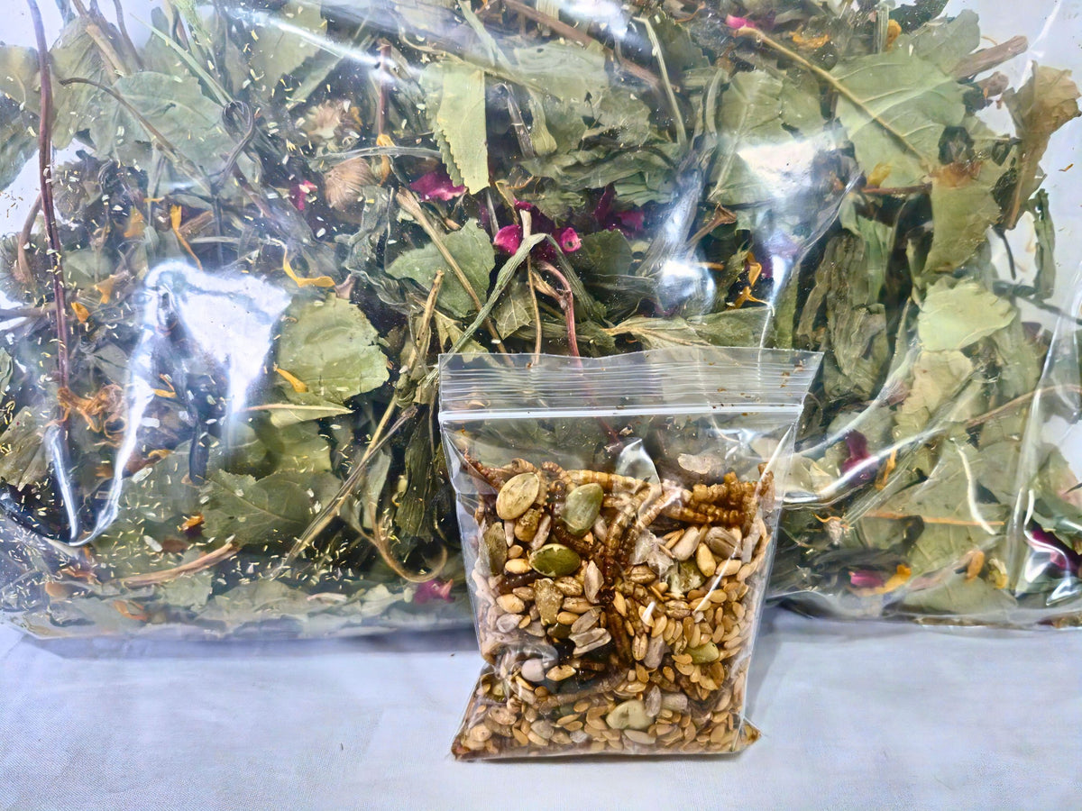 Forest and flower forage with treat topper