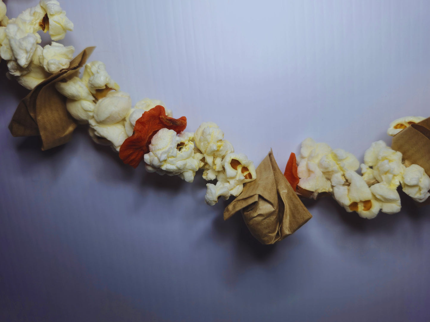 A close up of the hamster garland showing popcorn, dried carrots and hazelnuts wrapped in paper.