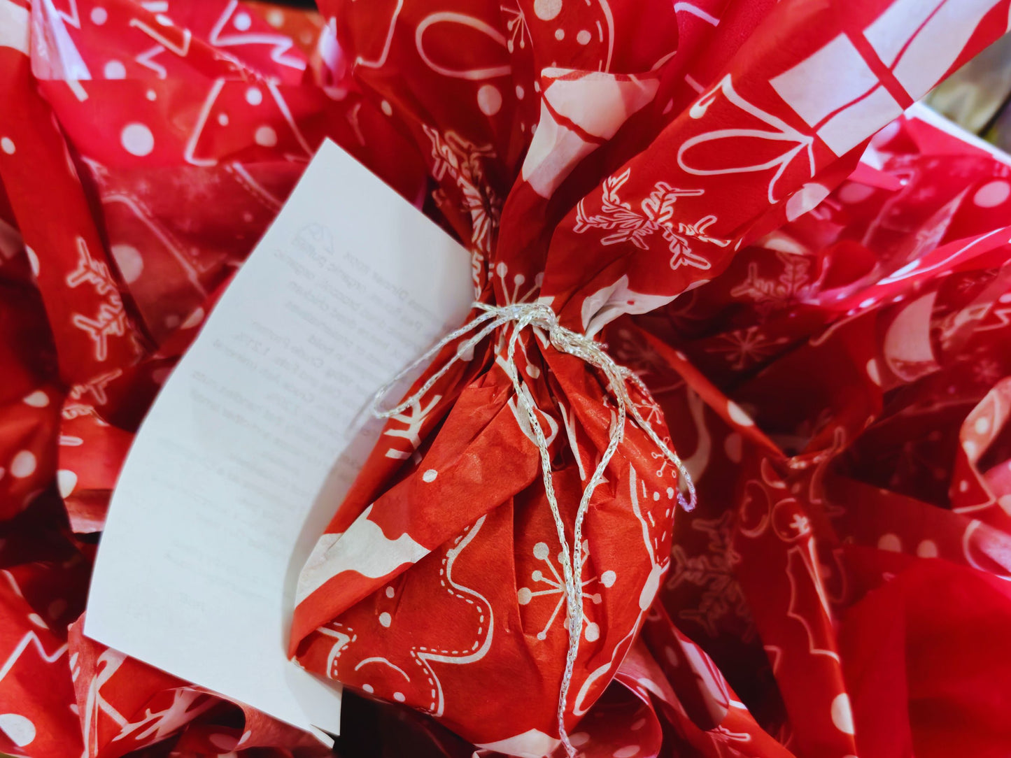 Christmas dinner for hamsters