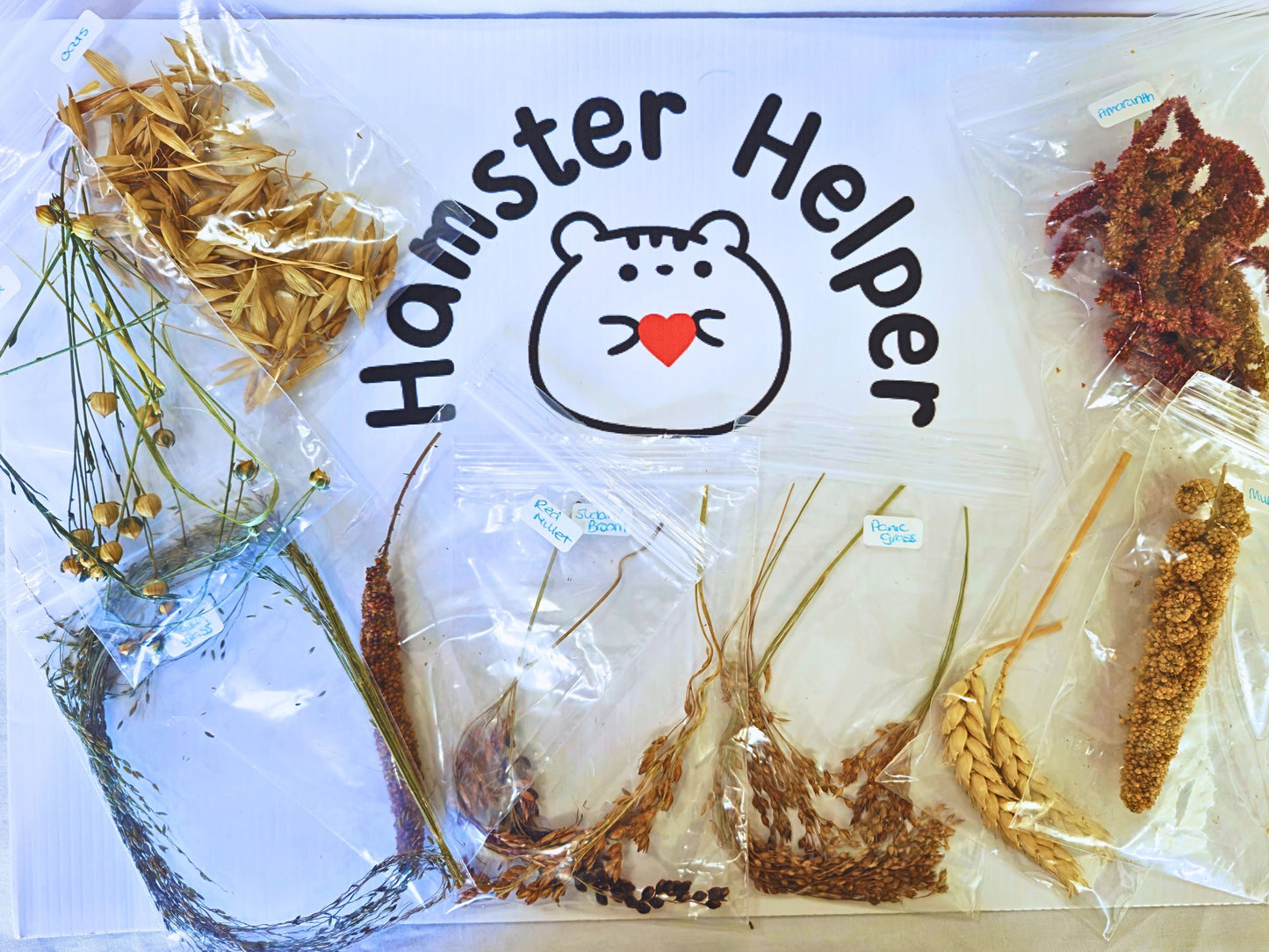 Spray Taster Bundle for Hamsters – Try Before You Commit (10 Mini Sprays)
