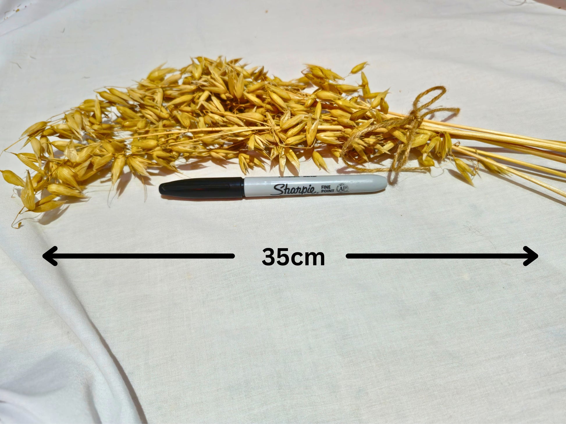 Hamster safe oat sprays with a pen for scale.