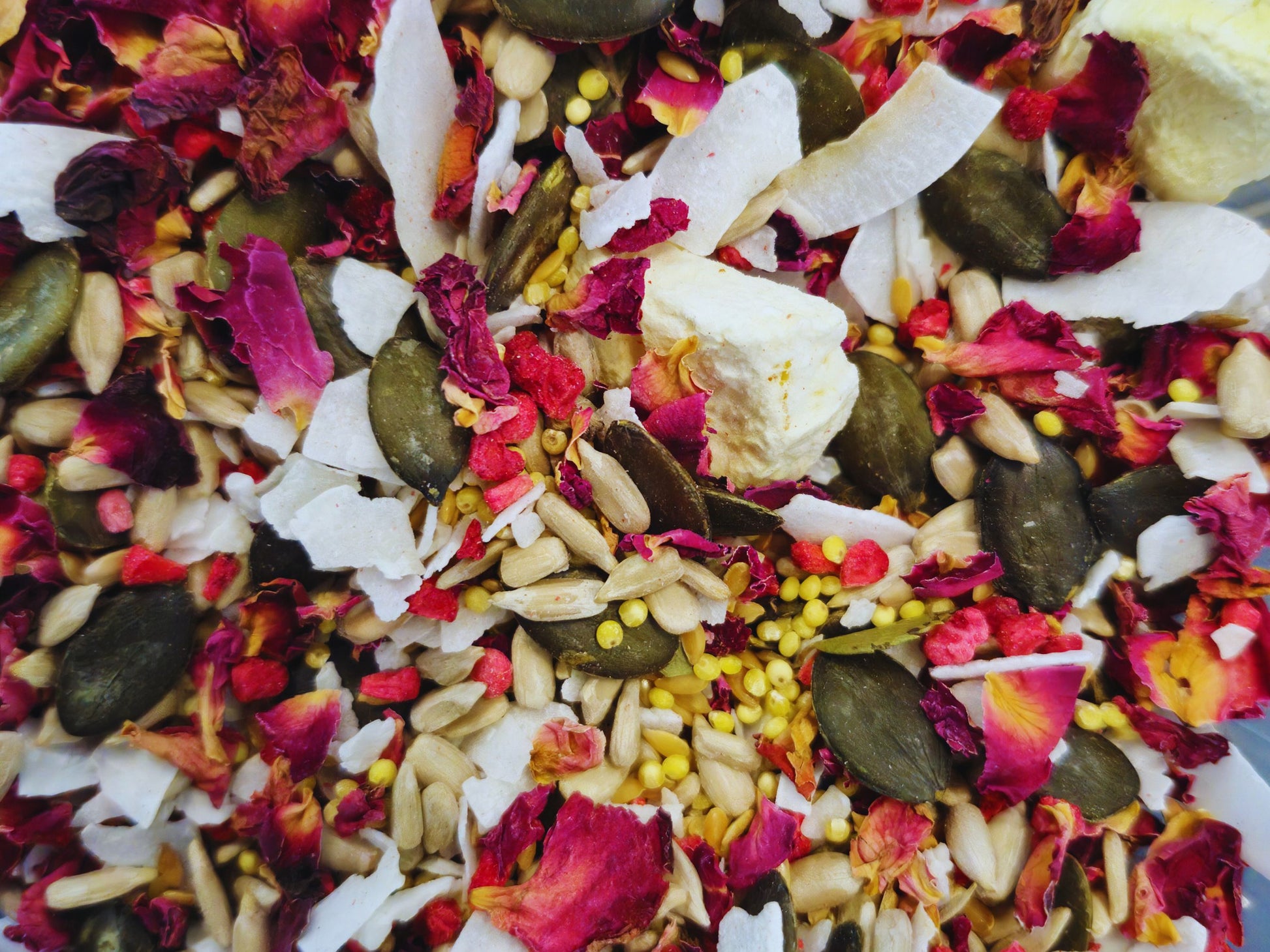 A close up of the ravenous rose risotto hamster treat mix containing roses, seeds, coconut and freeze dried mango and raspberry.