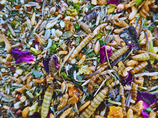 Complete Roborovski Hamster Food