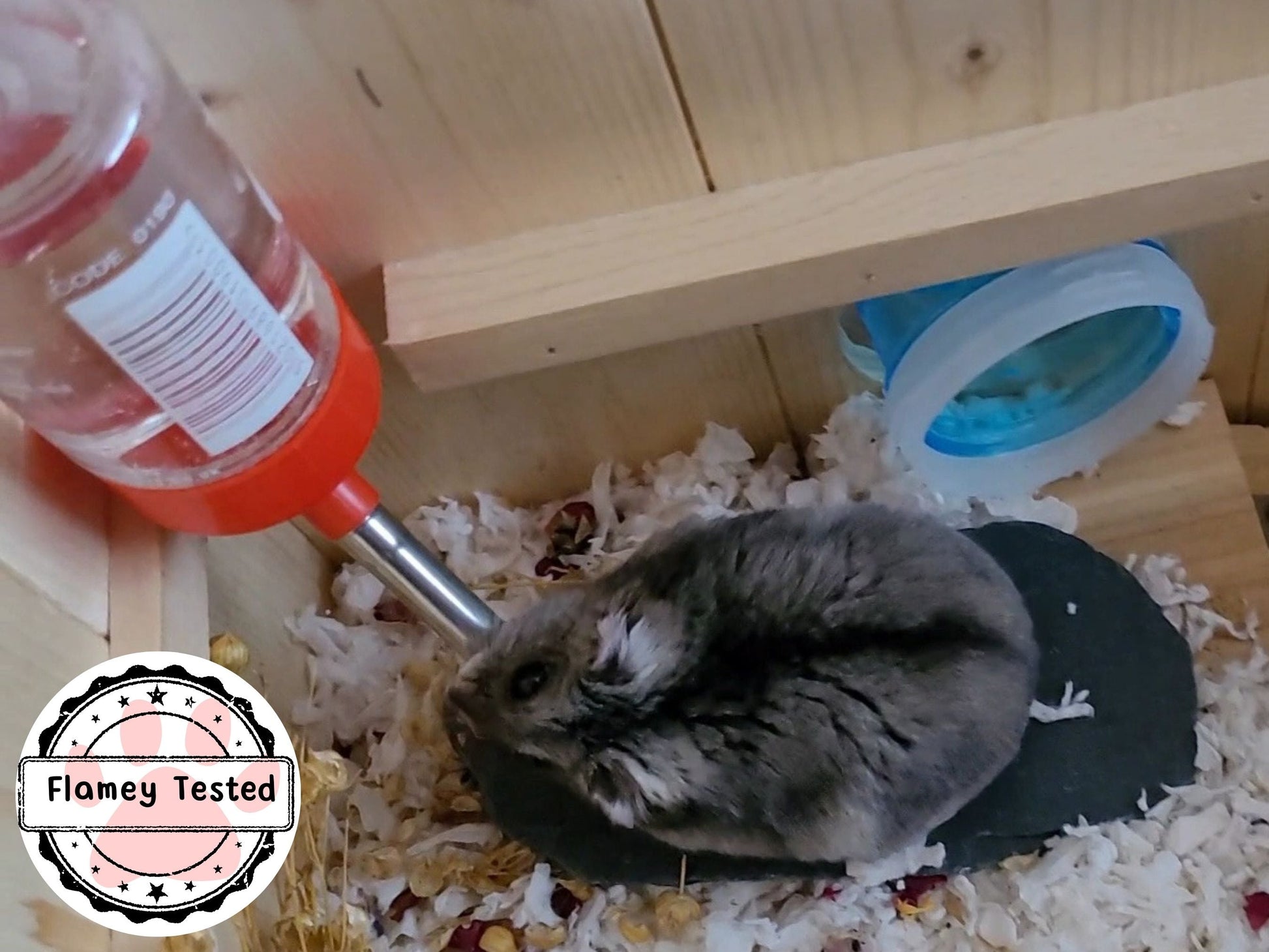 A hamster sat on top of a nail maintenance stone drinking water from a water bottle