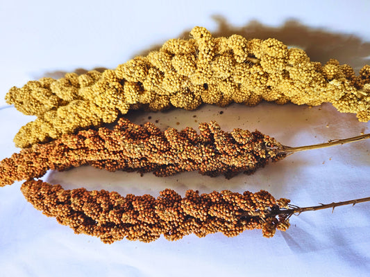 Red & Yellow Millet Sprays for Hamsters – Natural Foraging Variety Pack (4 Sprays)