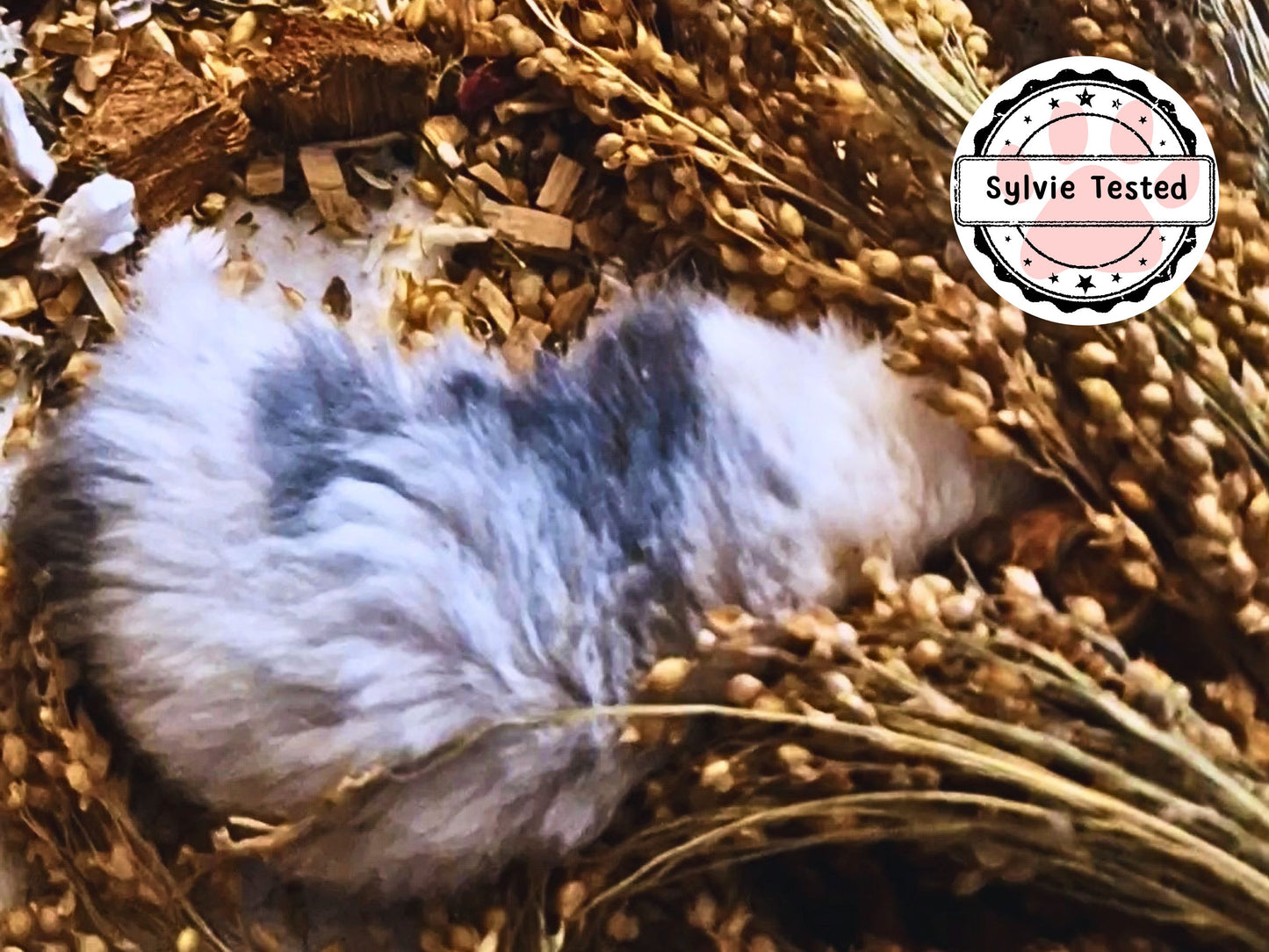 Spray Taster Bundle for Hamsters – Try Before You Commit (10 Mini Sprays)