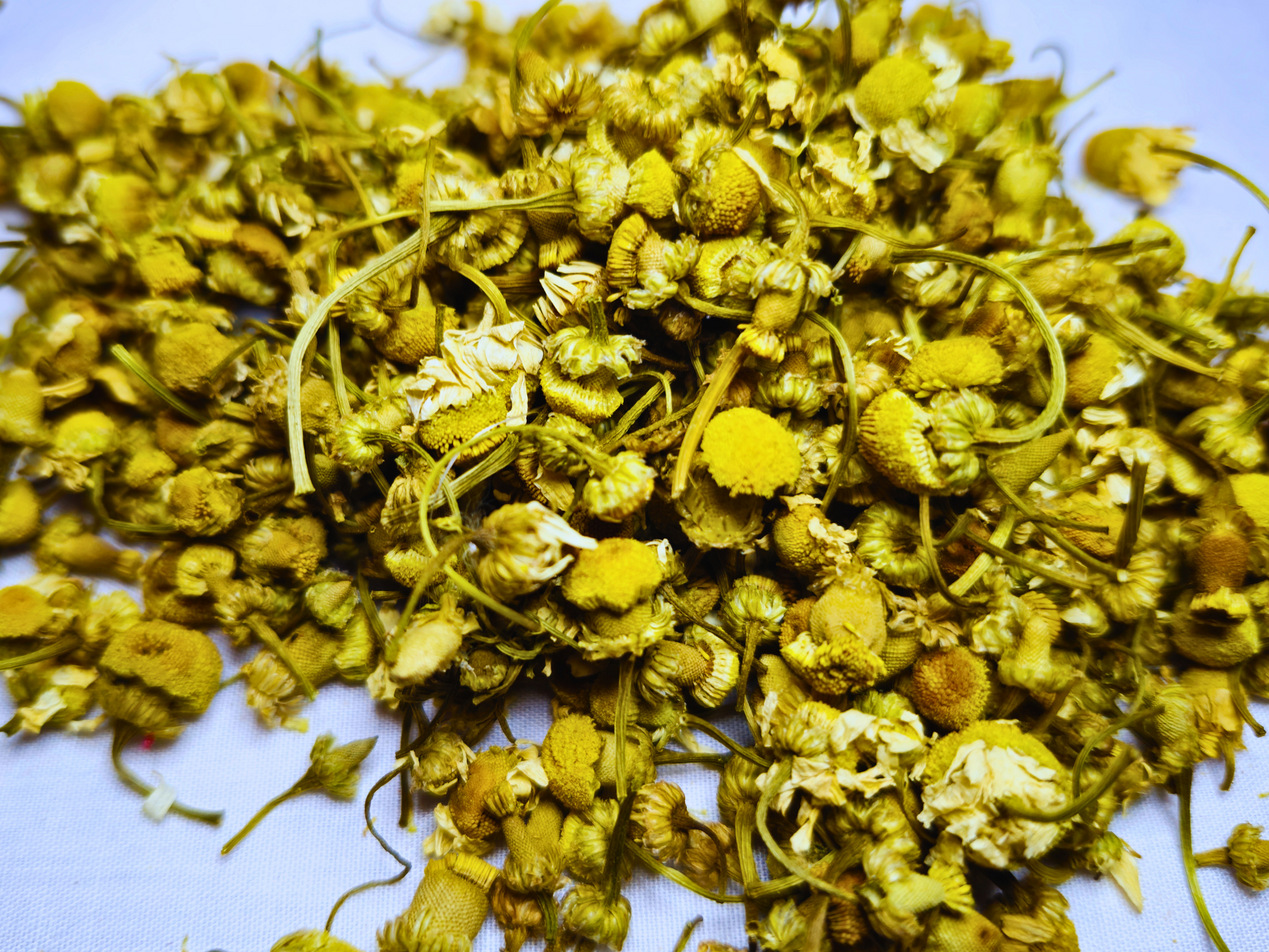 A close up of dried chamomile flowers for hamsters.