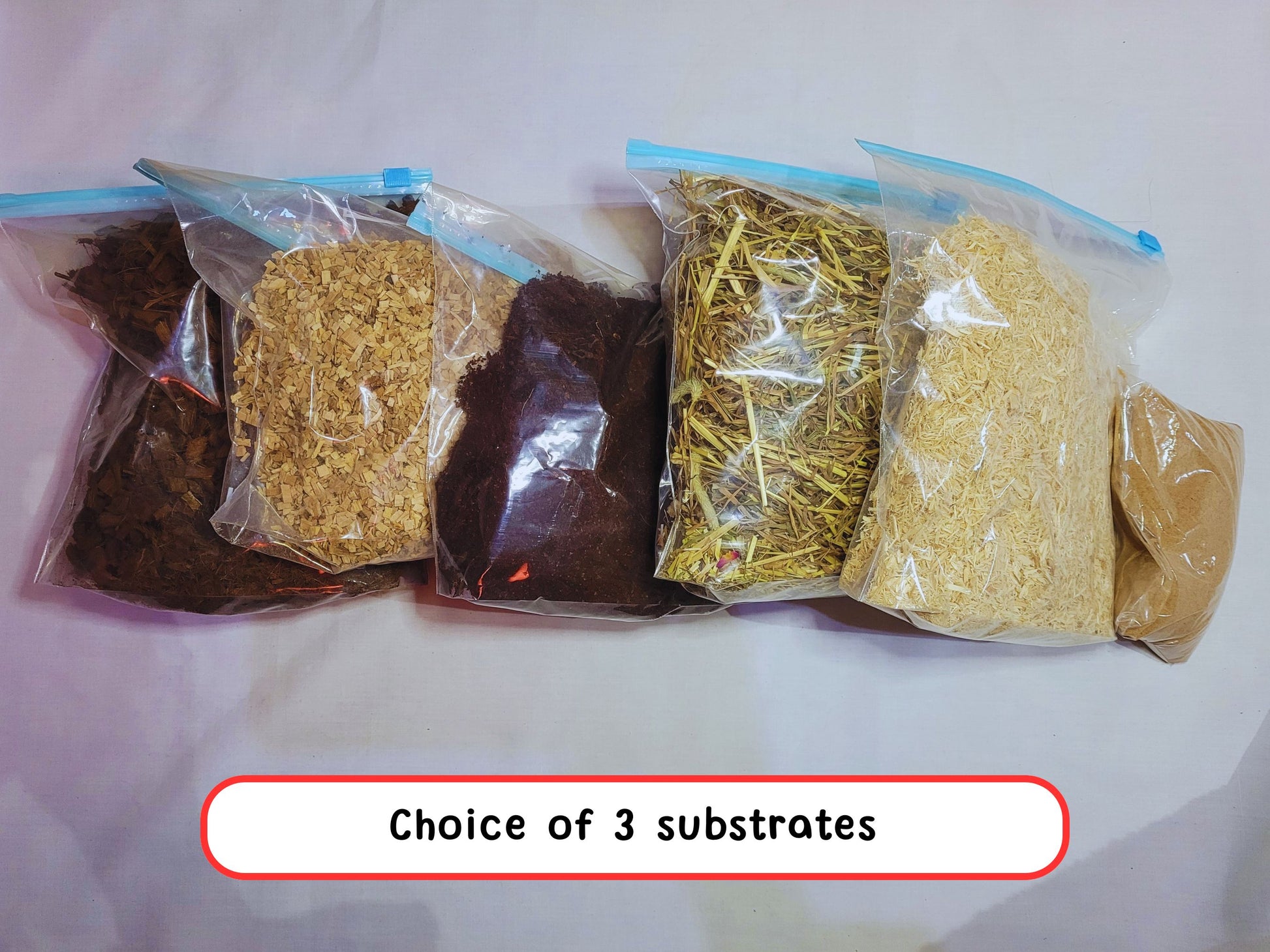 Six hamster substrates including soil, beech chips, coco chips, hay, aspen and sand demonstrating the different substrates available in the box.