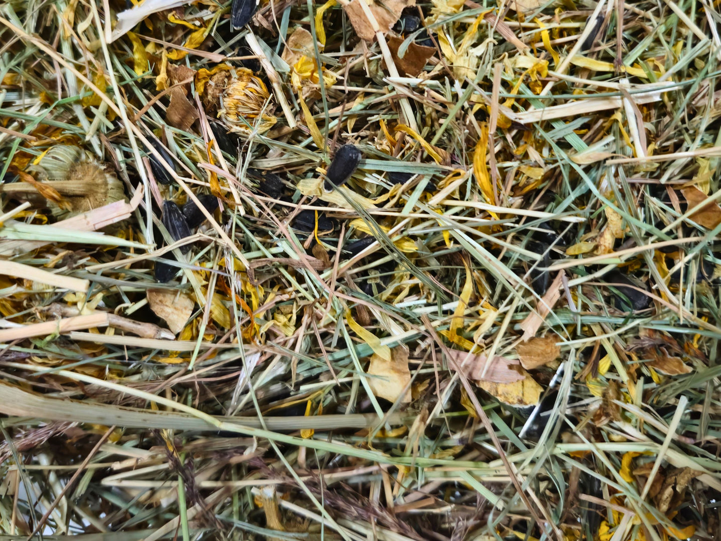 Sunflower & Marigold Meadow Hay Blend