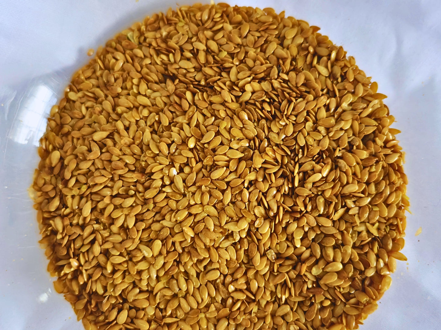 Flax Seeds (Linseed) for Hamsters – Natural Enrichment Treat (60g)