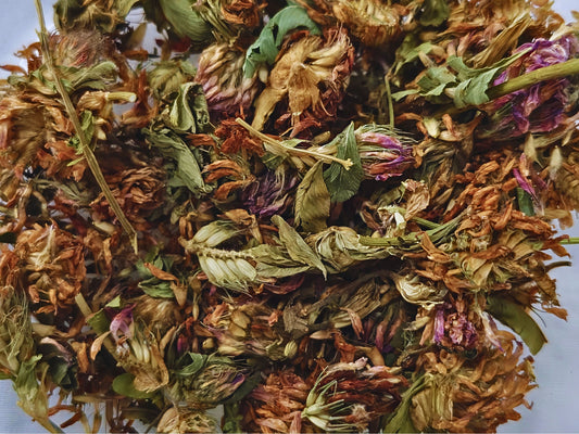 Dried Red Clover Flowers