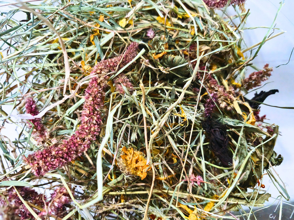 Blood-Curdling Boo-tanicals Bundle