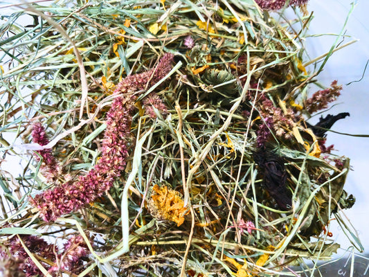 Amaranth, Marigold and Hibiscus Bewitched Hay Blend