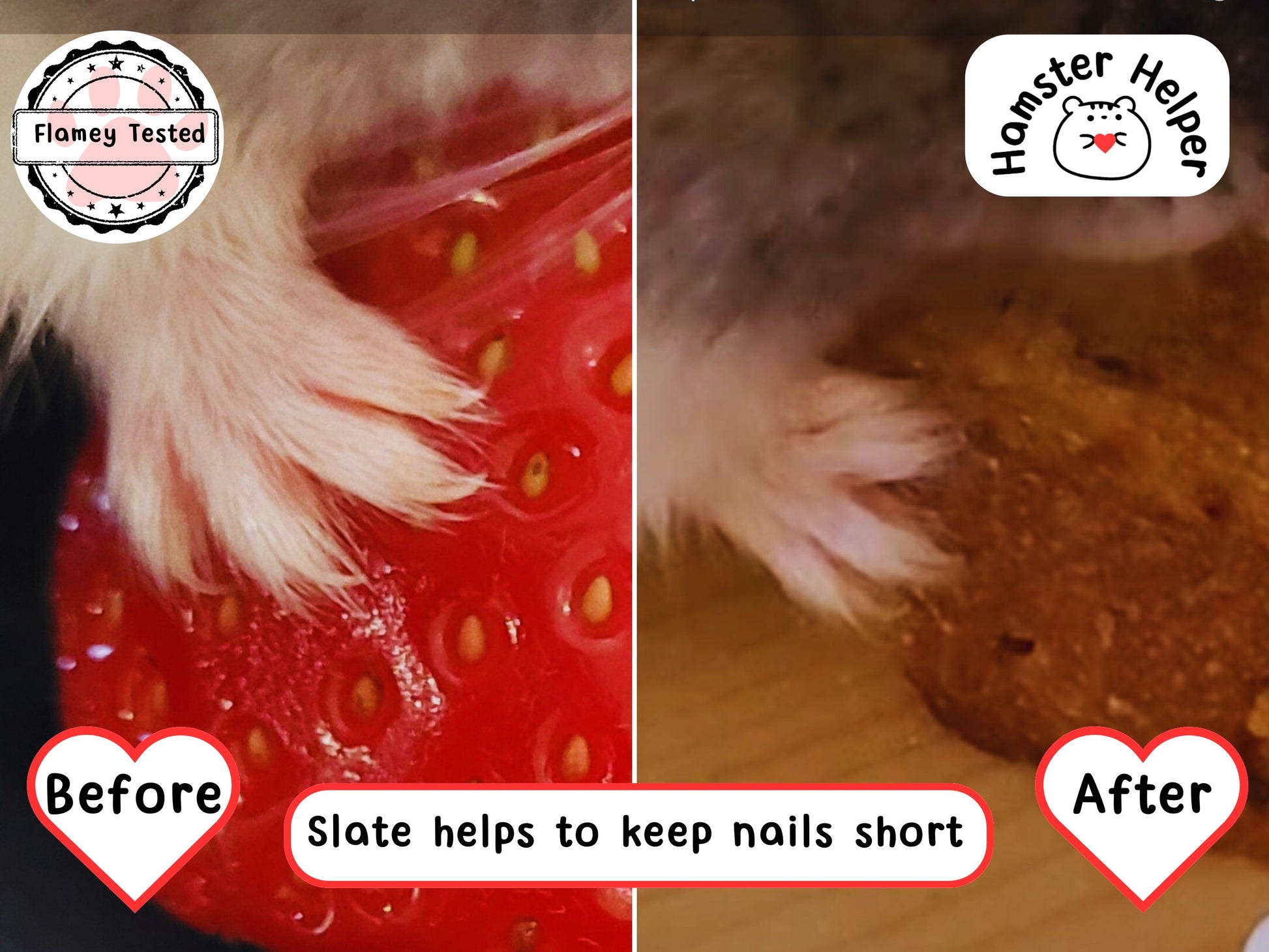 A picture showing a close up of hamster's claws to demonstrate how they are longer in the first picture than the second image.