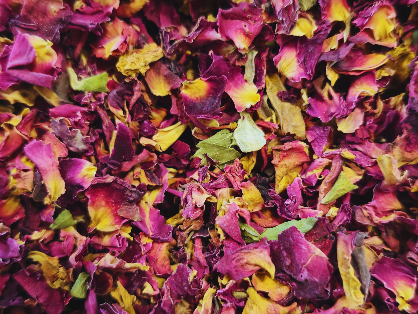 hamster safe rose petals close up.