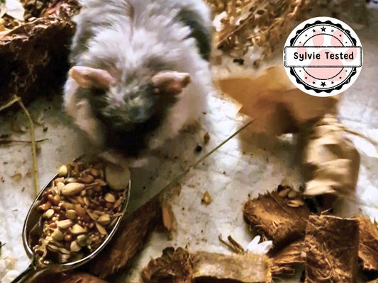 Remarkable Robo Rewards hamster treat mix