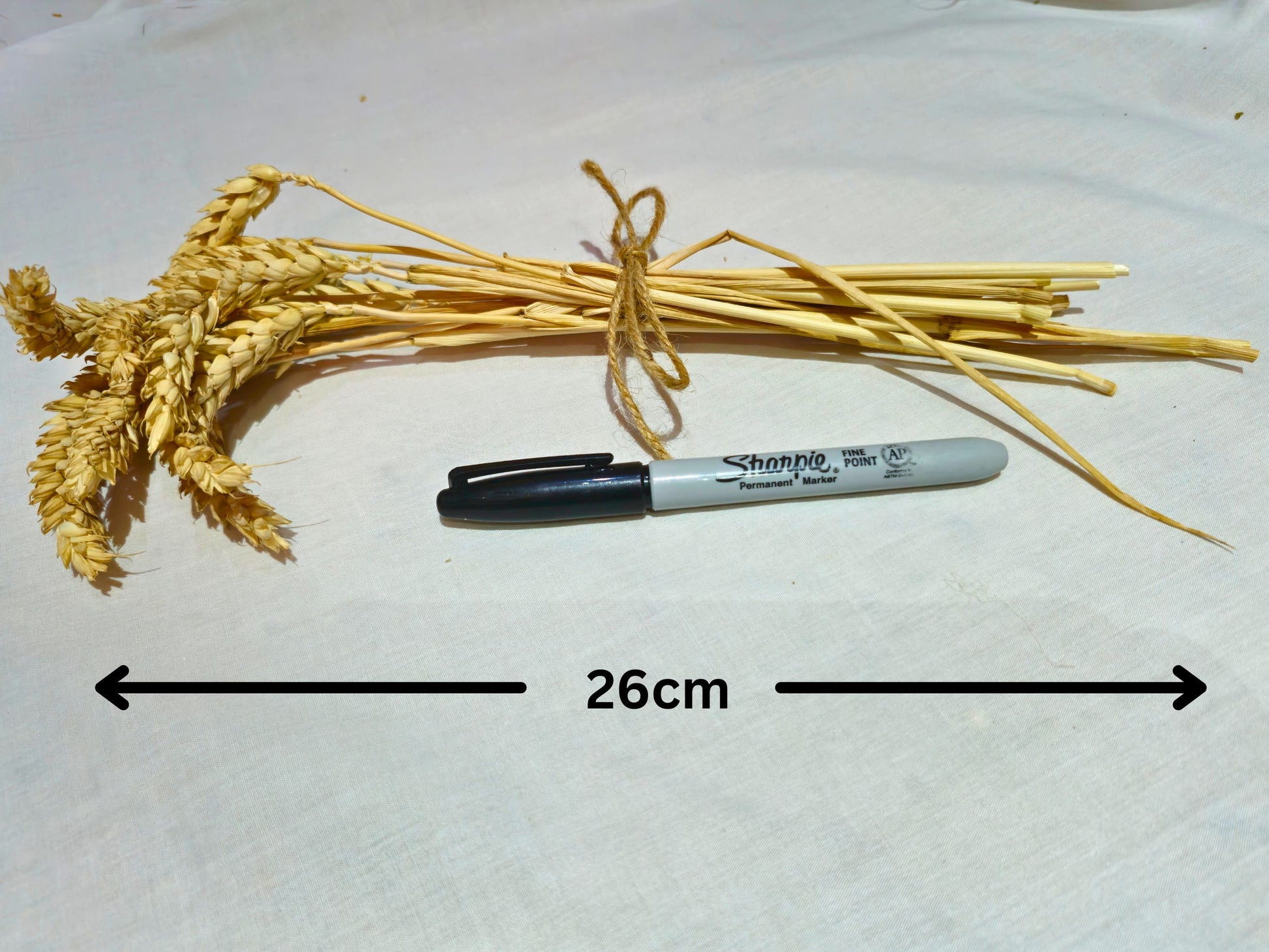Hamster safe wheat sprays with a pen for scale.