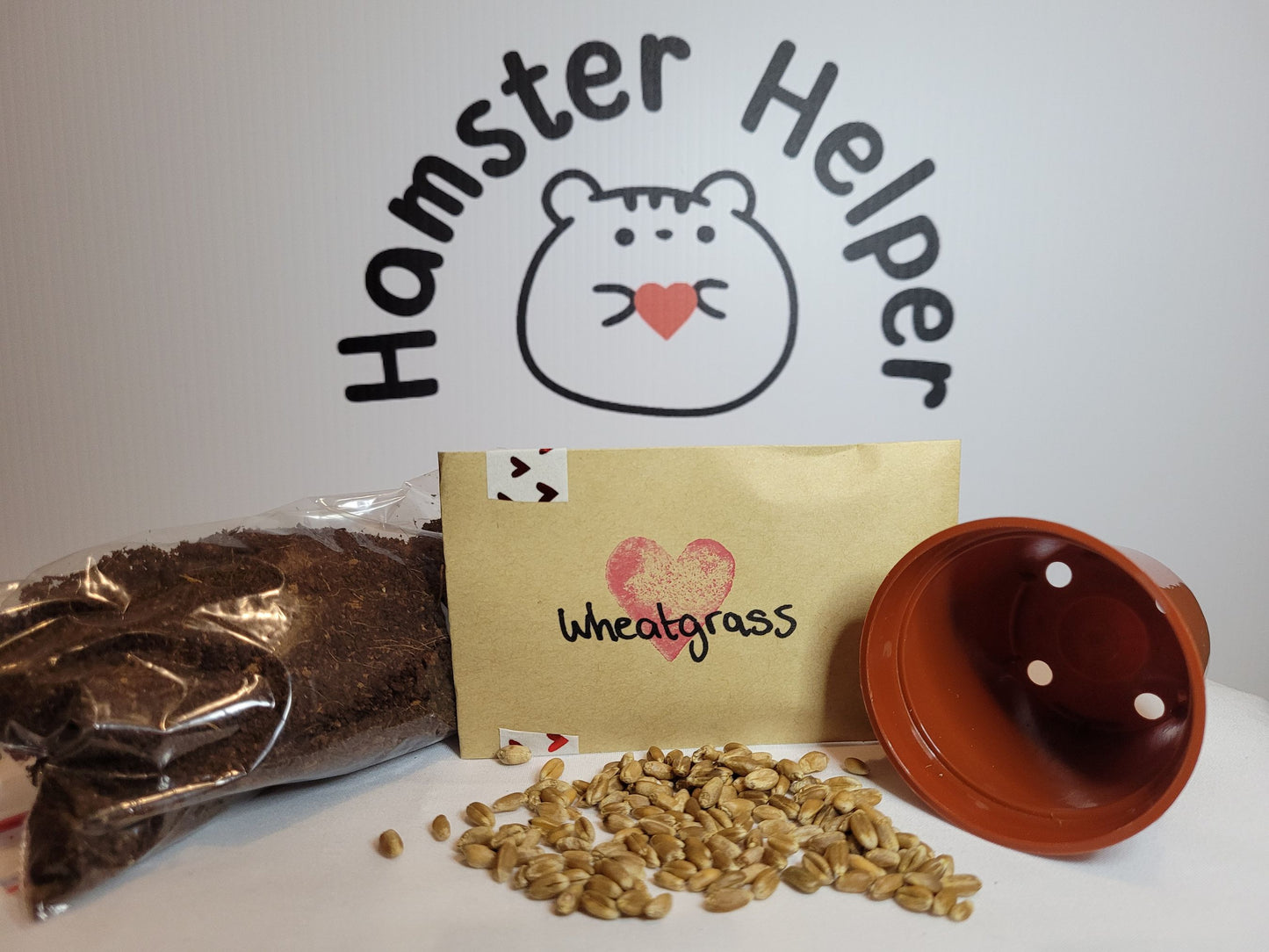 A hamster safe wheatgrass growing kit, containing hamster safe soil, wheatgrass seeds and a plastic plant pot