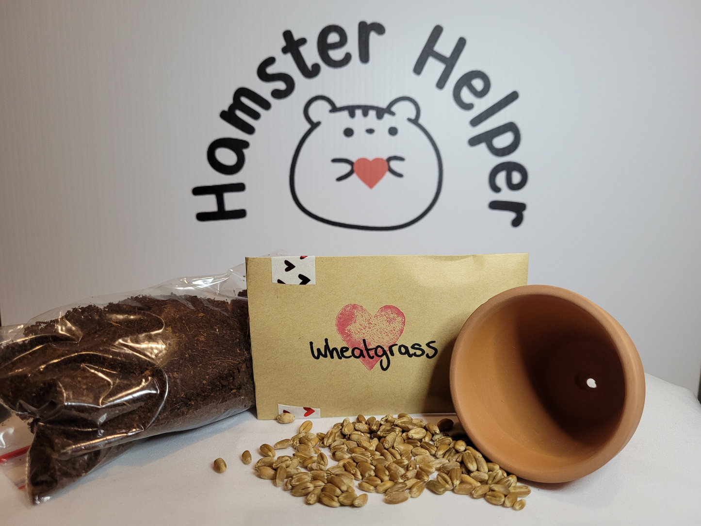 The hamster safe wheatgrass microgreen kit containing wheagrass seeds, a terracotta pot, and some hamster safe soi.