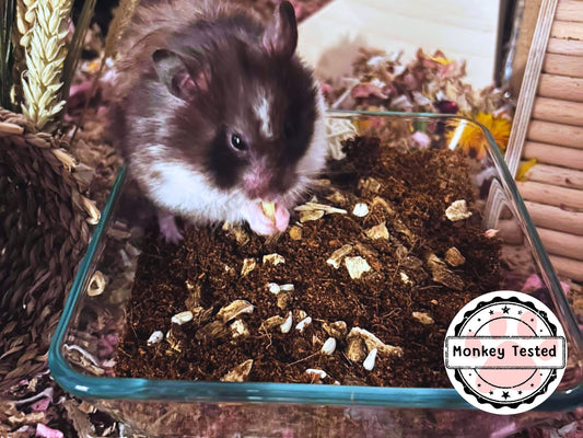 Blood-Curdling Boo-tanicals Bundle