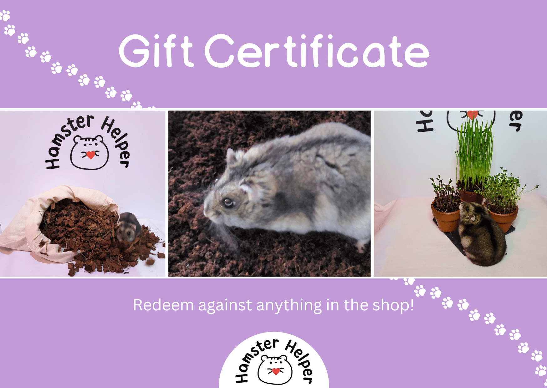 The Hamster Helper gift certificate with a picture of a hamster foraging in coco chips, a hamster exploring soil and a hamster eating microgreens.