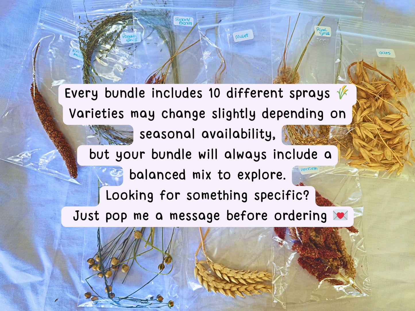 Spray Taster Bundle for Hamsters – Try Before You Commit (10 Mini Sprays)