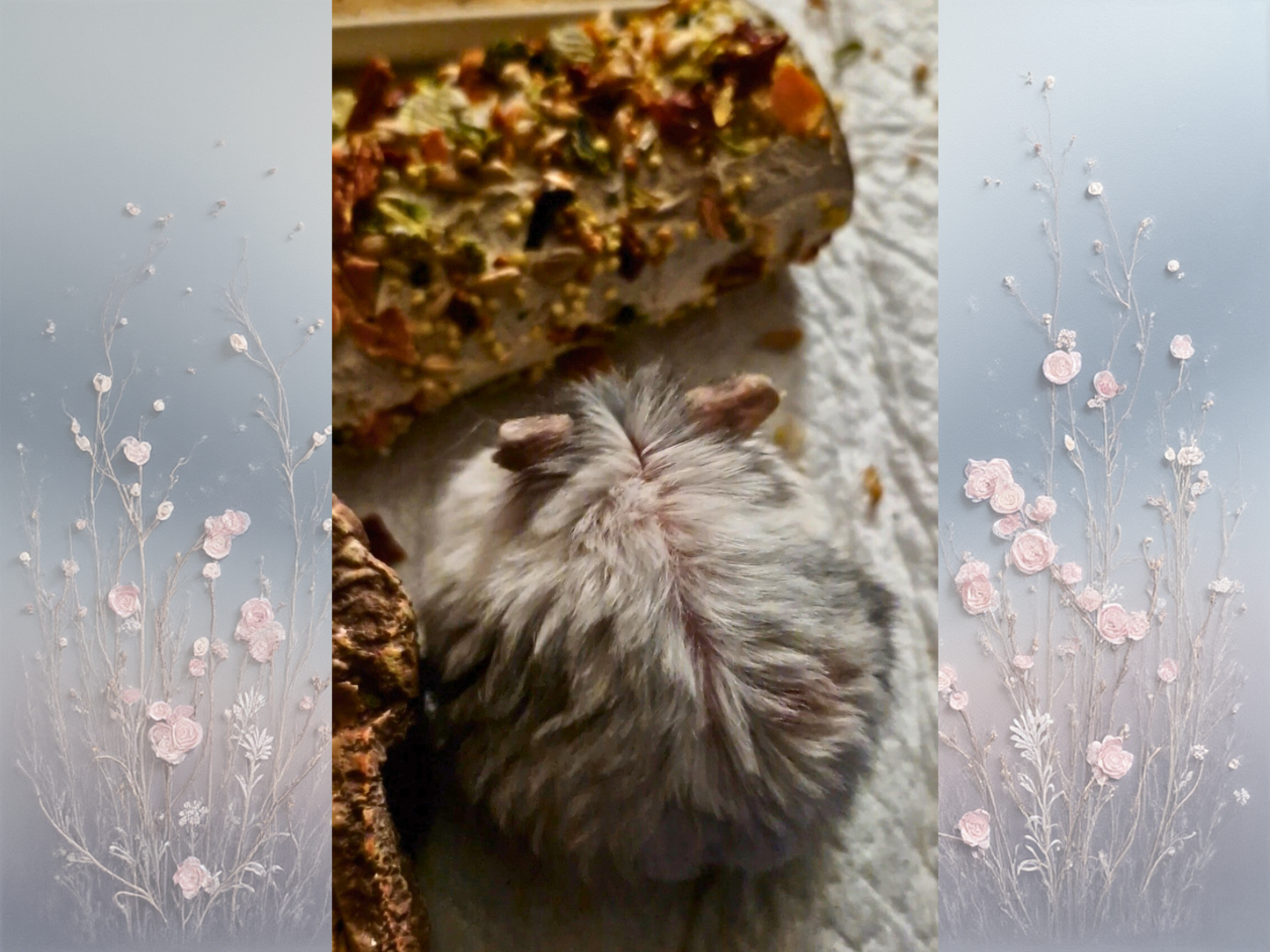 Hamster Christmas Seed Tube DIY Kit