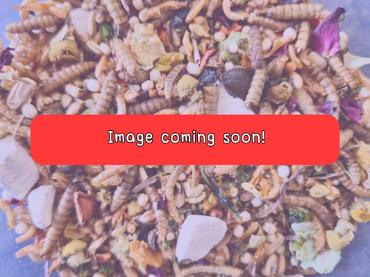 Complete Chinese Hamster Food – Made to Order