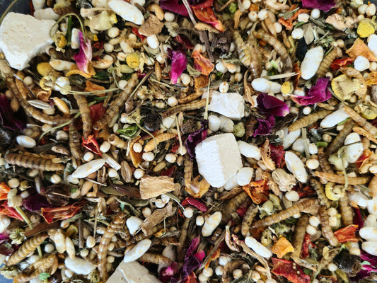 Complete Senior Dwarf Hamster Food – Made to Order