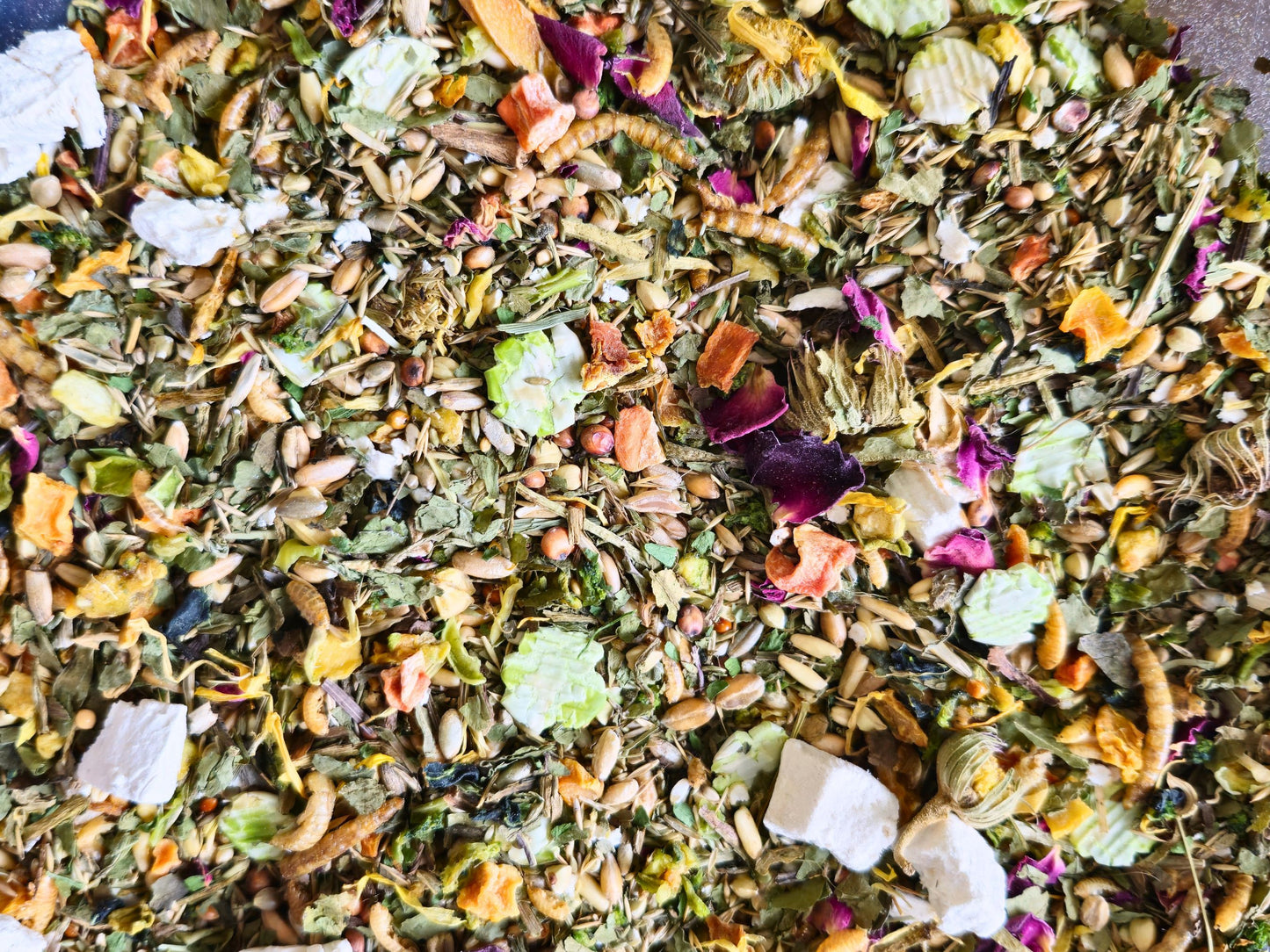 Complete Gerbil Food - Made to Order