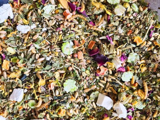 Complete Gerbil Food - Made to Order
