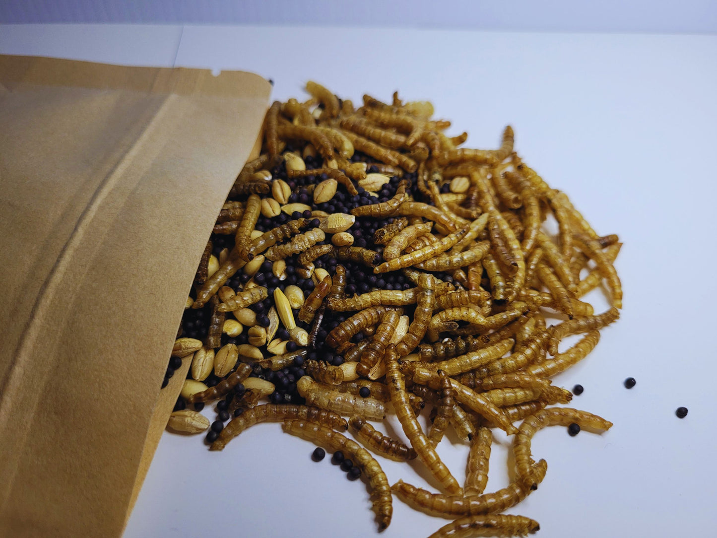 A closeup of the mealworm munchies hamster treat mix showing that it contains mealworms, whole rape seeds and whole grain barley