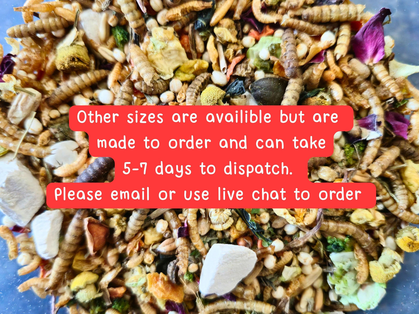 Complete Senior Syrian Hamster Food
