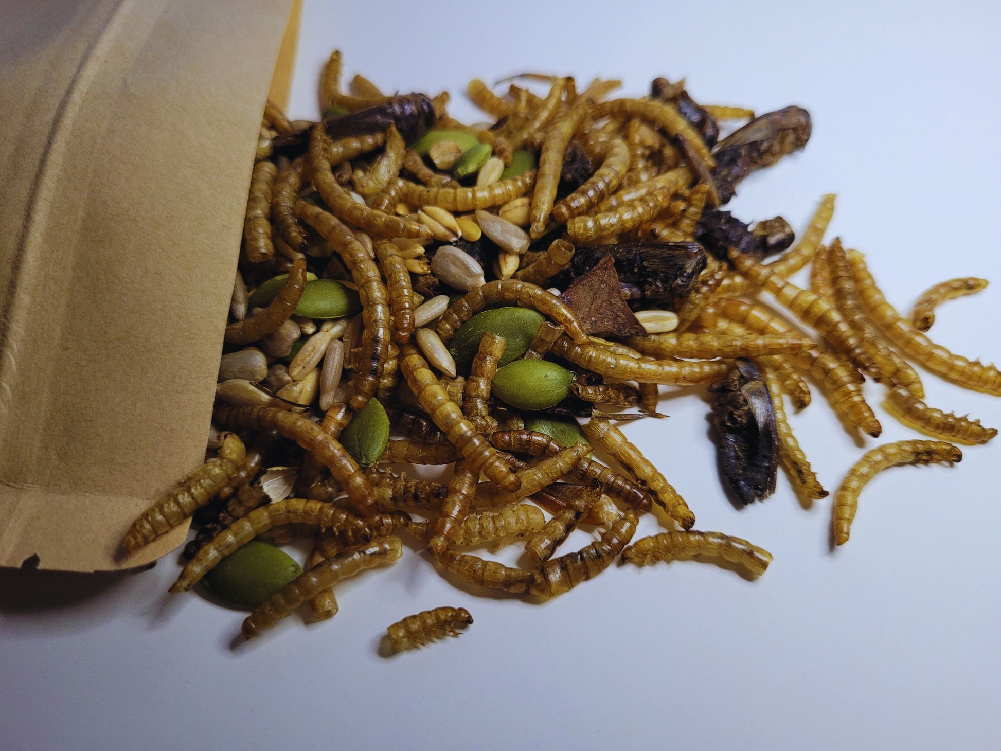 A close up of the protein powerhouse hamster treat mix containing mealworms, crickets, seeds and grains.