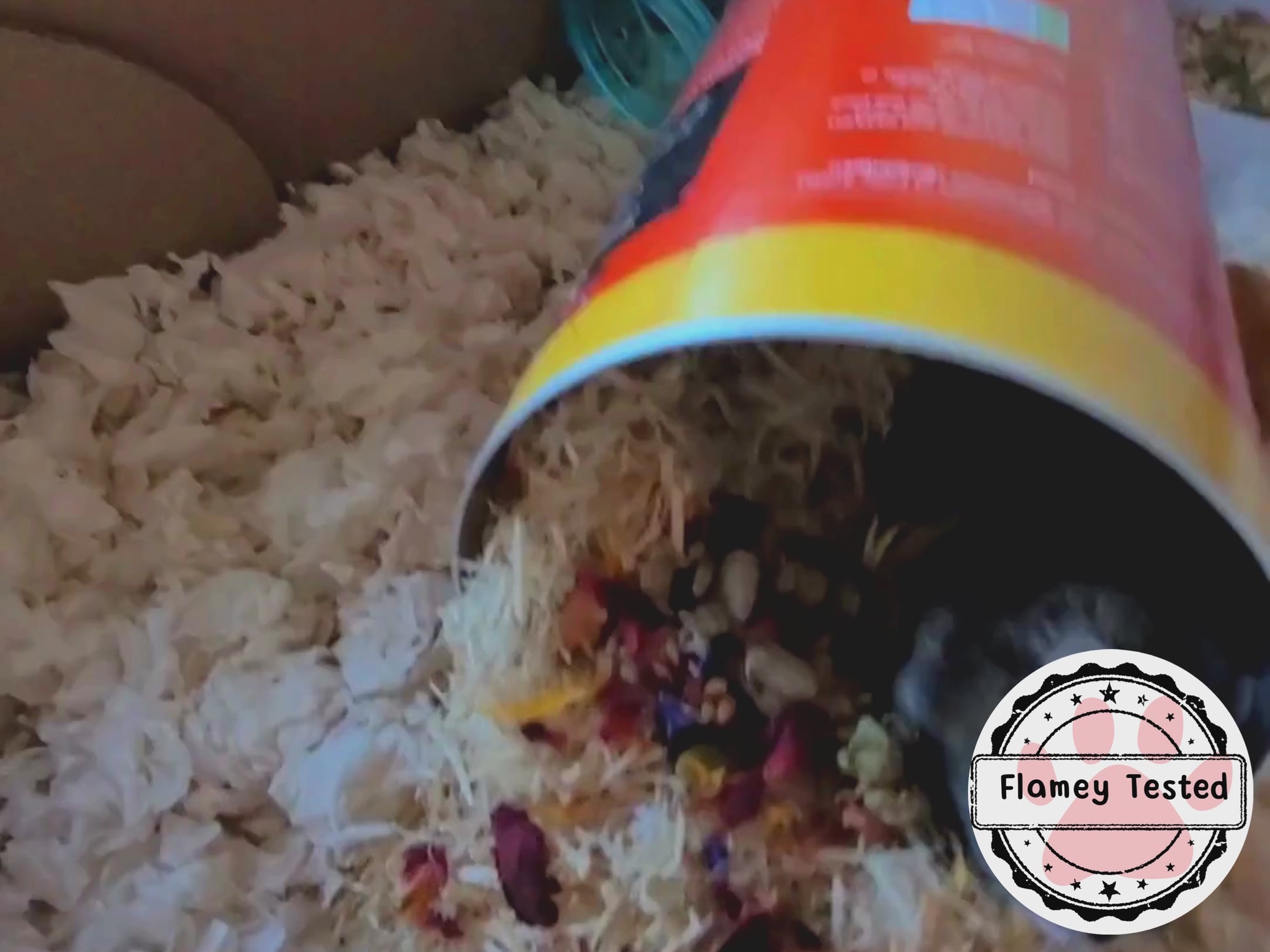 A hamster emerging from a tube full of aspen and then foraging on the seeds and petals on top of the aspen